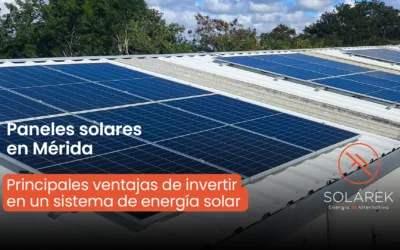 Paneles solares en Mérida, Yucatán: ahorros y beneficios